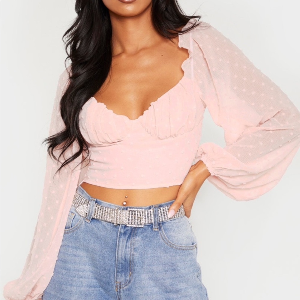 PLT Mesh Pink Long Sleeve Crop Top